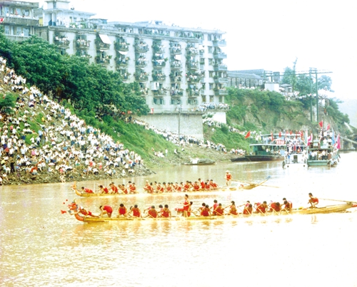 包粽子&nbsp;赛龙舟&nbsp;传统佳节情依旧(图5)