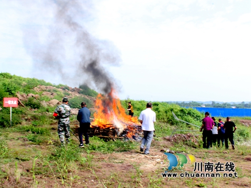 龙马潭区举行2019年森林防扑火实战演练(图2)