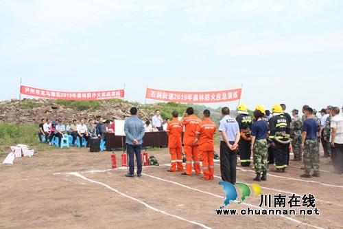 龙马潭区举行2019年森林防扑火实战演练(图3)