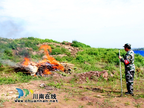 龙马潭区举行2019年森林防扑火实战演练(图5)