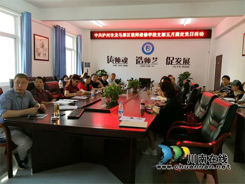 ***龙马潭区教师进修学校党支部开展固定党活动(图1)