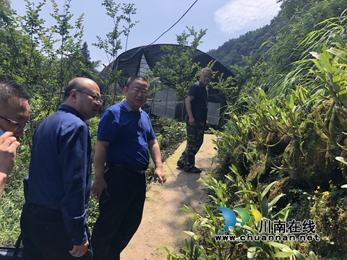 贵州赤水市政协到泸州合江县福宝镇考察(图1)