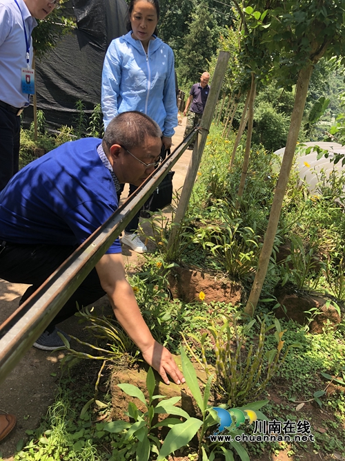 贵州赤水市政协到泸州合江县福宝镇考察(图2)