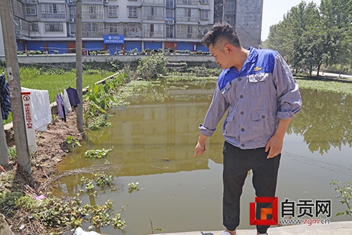 自贡九旬老人意外落水&nbsp;危急时刻小伙跳水救人(图2)