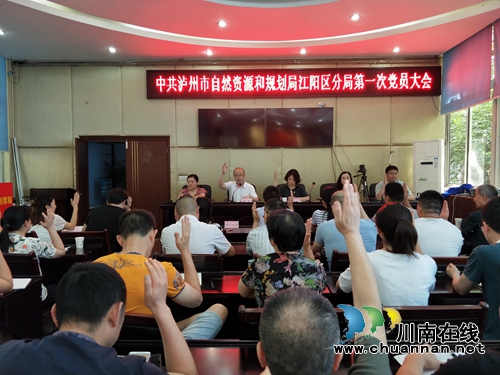 江阳区自然资源和规划分局机关党委第一次党员大会召开(图1)