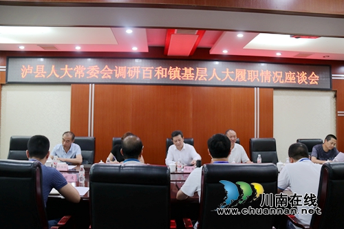 泸县人大常委会到百和镇开展基层人大履职情况调研工作(图1)