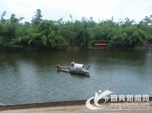 世界环境日 宜宾临港2.5万尾鱼苗放流黄沙河(图2) 世界环境日 宜宾临港2.5万尾鱼苗放流黄沙河(图2)