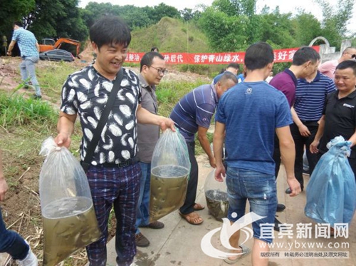 世界环境日 宜宾临港2.5万尾鱼苗放流黄沙河(图3) 世界环境日 宜宾临港2.5万尾鱼苗放流黄沙河(图3)