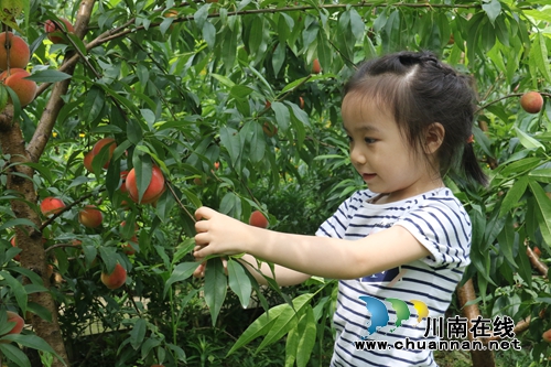 三天端午小长假,十里渔湾最好耍!(图7) 三天端午小长假,十里渔湾最好耍!(图7)
