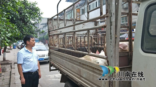 泸县立石镇畜牧兽医站站长阎茂林：一腔热血情怀&nbsp;二十九载青春无悔(图2)