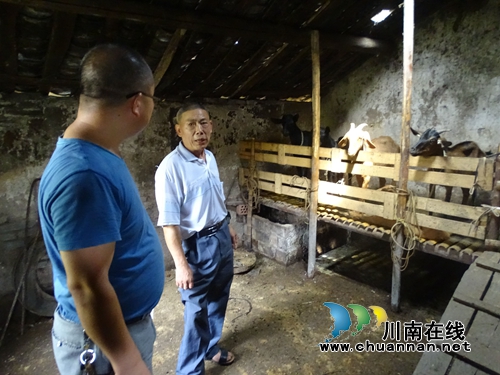 泸县立石镇：村里来了“吕书记”&nbsp;人好本事高！(图3)