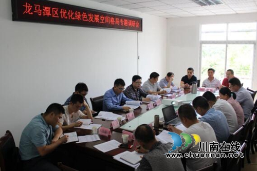 泸州市自然资源和规划局调研龙马潭区优化绿色发展空间格局工作(图1)