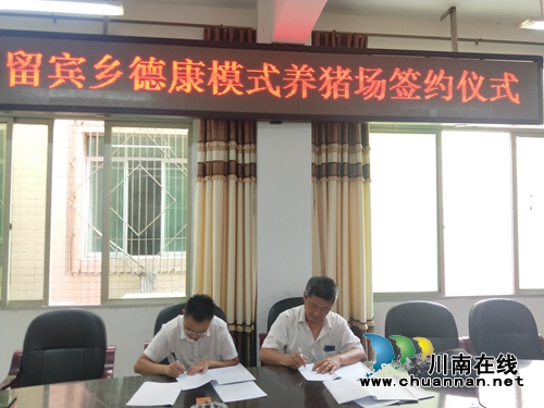 宜宾留宾乡马村德康模式养猪场养猪场正式签约(图1)