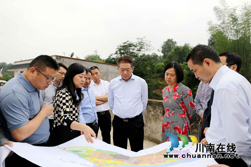 杨林兴率队检查纳溪区防汛减灾和地灾防治工作(图1)