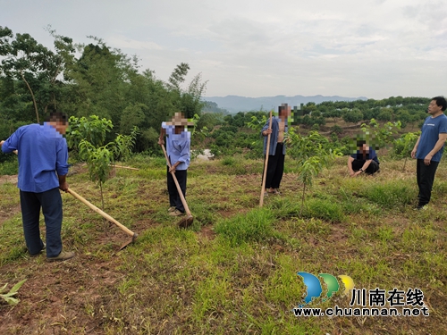 宜宾市南溪区刘家司法所打好“预防针”&nbsp;&nbsp;切实做好社区矫正隐患排查(图1)