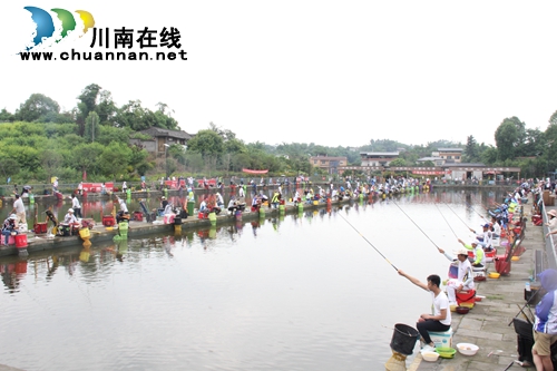 龙马潭区乡村文化旅游节完美收官(图1)