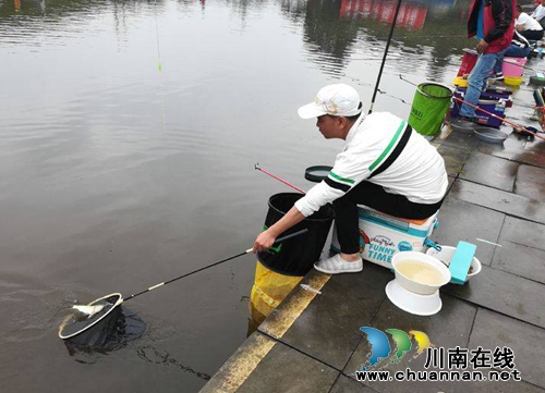 龙马潭区乡村文化旅游节完美收官(图8)