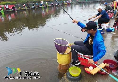 龙马潭区乡村文化旅游节完美收官(图9)