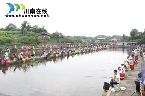 龙马潭区乡村文化旅游节完美收官(图2)