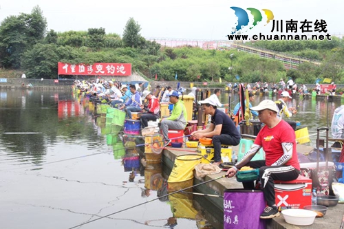 龙马潭区乡村文化旅游节完美收官(图4)