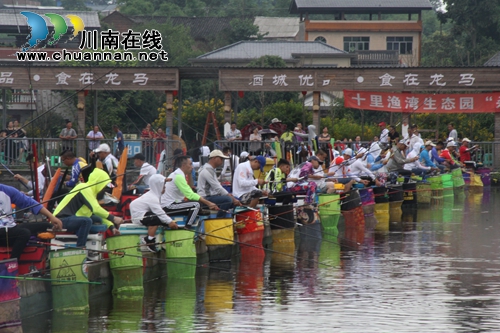 龙马潭区乡村文化旅游节完美收官(图5)
