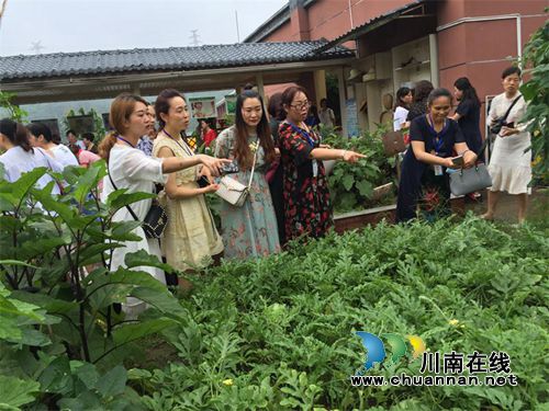 龙马潭区“国培计划”（2018）幼师国培开展第六次集中培训活动(图2)