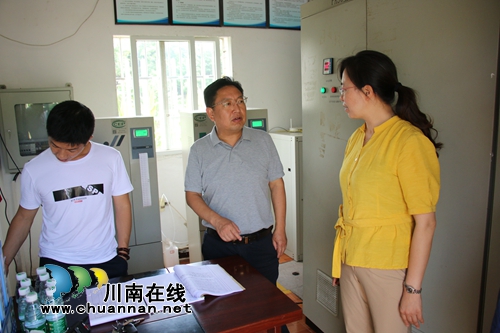 泸州市委第三督导组到泸县潮河镇督导污水处理工作(图2)