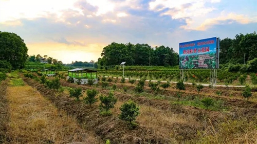 打赢脱贫攻坚战，泸县走了这三步(图1)