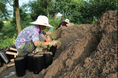 打赢脱贫攻坚战，泸县走了这三步(图2)