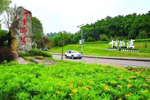 农业+旅游，龙马潭区多产业融合促脱贫(图3)