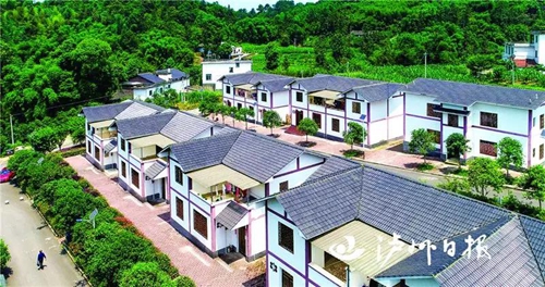 实现7.9万人脱贫，合江县是这样办到的(图1)