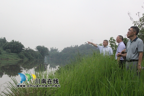 泸县政协主席李镇到海潮镇进行巡河检查(图1)