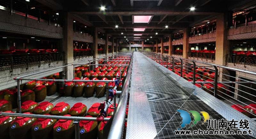 “泸州非遗之旅”大型采风系列活动完满结束(图8)