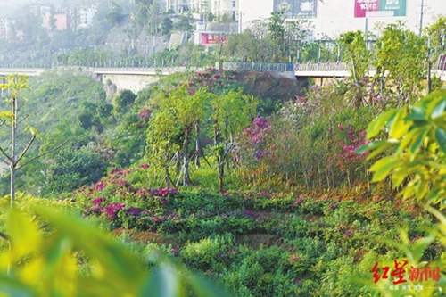 845万亩&nbsp;四川荒漠化土地“脱荒”了一个内江(图1)