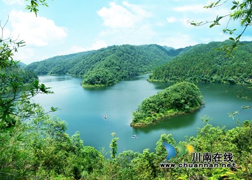 大喜讯！中国沈酒在国际大赛上斩获大金奖！(图10)