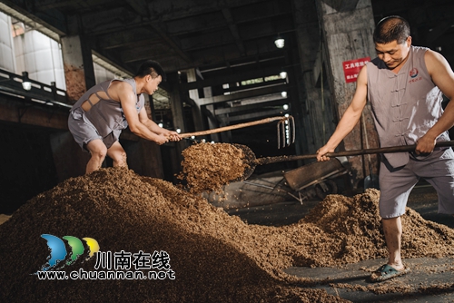 大喜讯！中国沈酒在国际大赛上斩获大金奖！(图11)