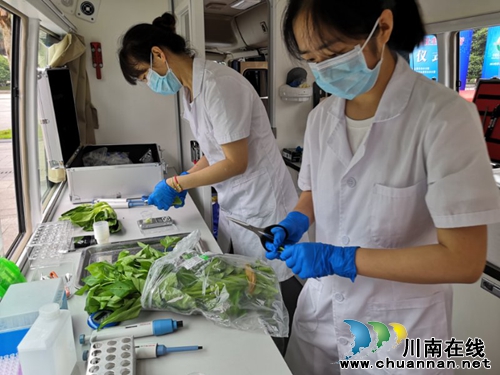 助力国家食安城市创建&nbsp;泸州启动食品安全宣传周(图1)