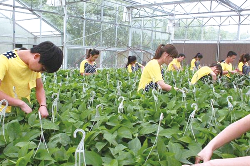 新增专业亮点频频&nbsp;校企融合孕育工匠(图1)