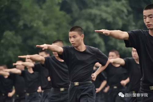 新增专业亮点频频&nbsp;校企融合孕育工匠(图3)