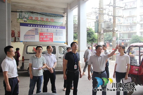 县人大常委会主任颜习林到云龙镇督查指导创国卫工作(图1)