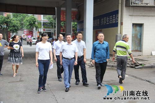 县人大常委会主任颜习林到云龙镇督查指导创国卫工作(图2)