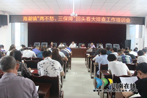 泸县海潮镇召开“两不愁三保障”回头看大排查工作培训会(图1)
