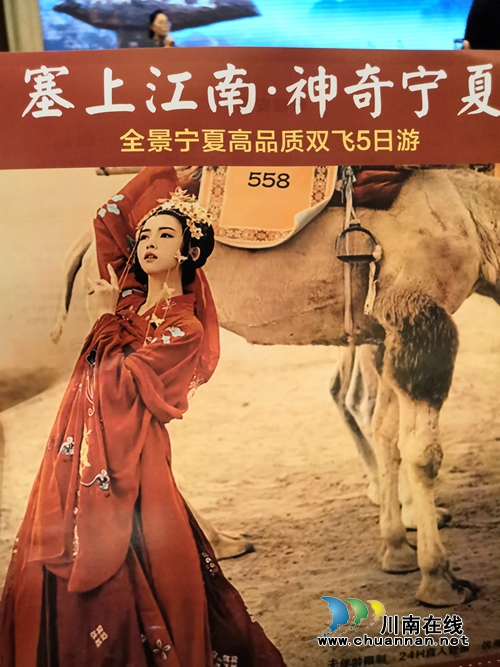 塞上江南赏明珠&nbsp;银川旅游向泸州发出邀请函(图7)
