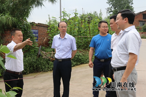 肖春率队到泸县百和镇开展工作调研(图1)