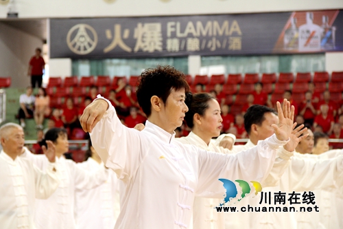 龙马潭区老年大学举行建校30周年教学成果展演(图7)