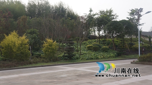 泸县立石镇：整治人居环境整治&nbsp;美丽乡村提档升级(图3)