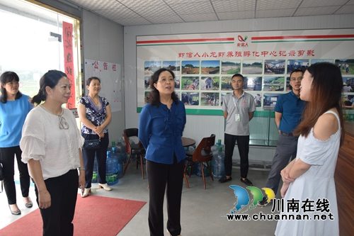 泸州市妇联来合江调研妇联基层组织建设情况(图2)