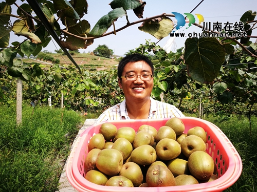 龙马潭：农旅融合发展&nbsp;走出乡村振兴新路径(图6)