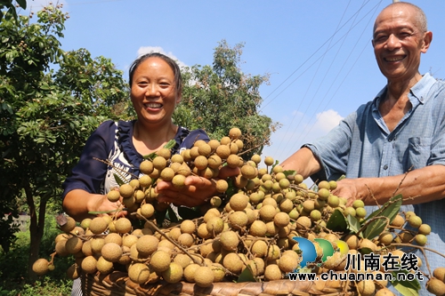 龙马潭：农旅融合发展&nbsp;走出乡村振兴新路径(图5)