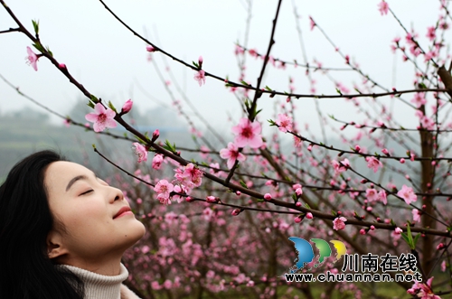 龙马潭：农旅融合发展&nbsp;走出乡村振兴新路径(图8)